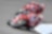 Pilotos da Ducati que correm perto de Espanha